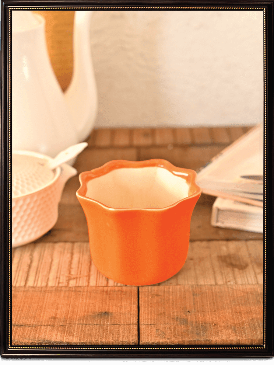 Star Dark Ceramic Pot | Ugaoo | Multiple Colors