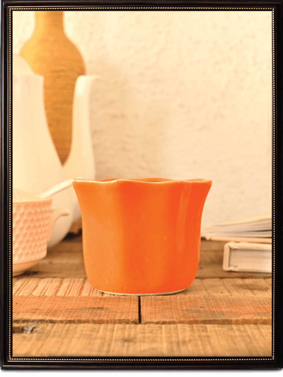Star Dark Ceramic Pot | Ugaoo | Multiple Colors