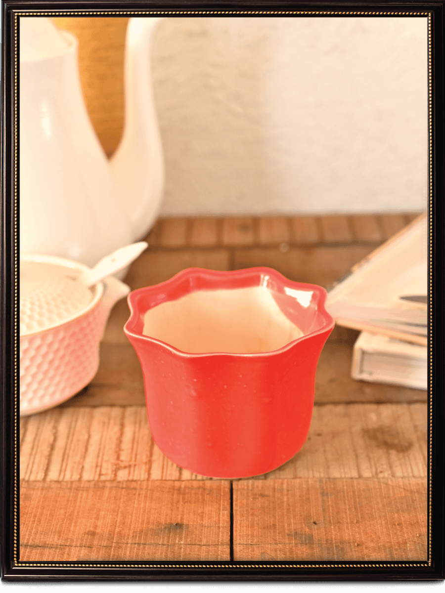 Star Dark Ceramic Pot | Ugaoo | Multiple Colors
