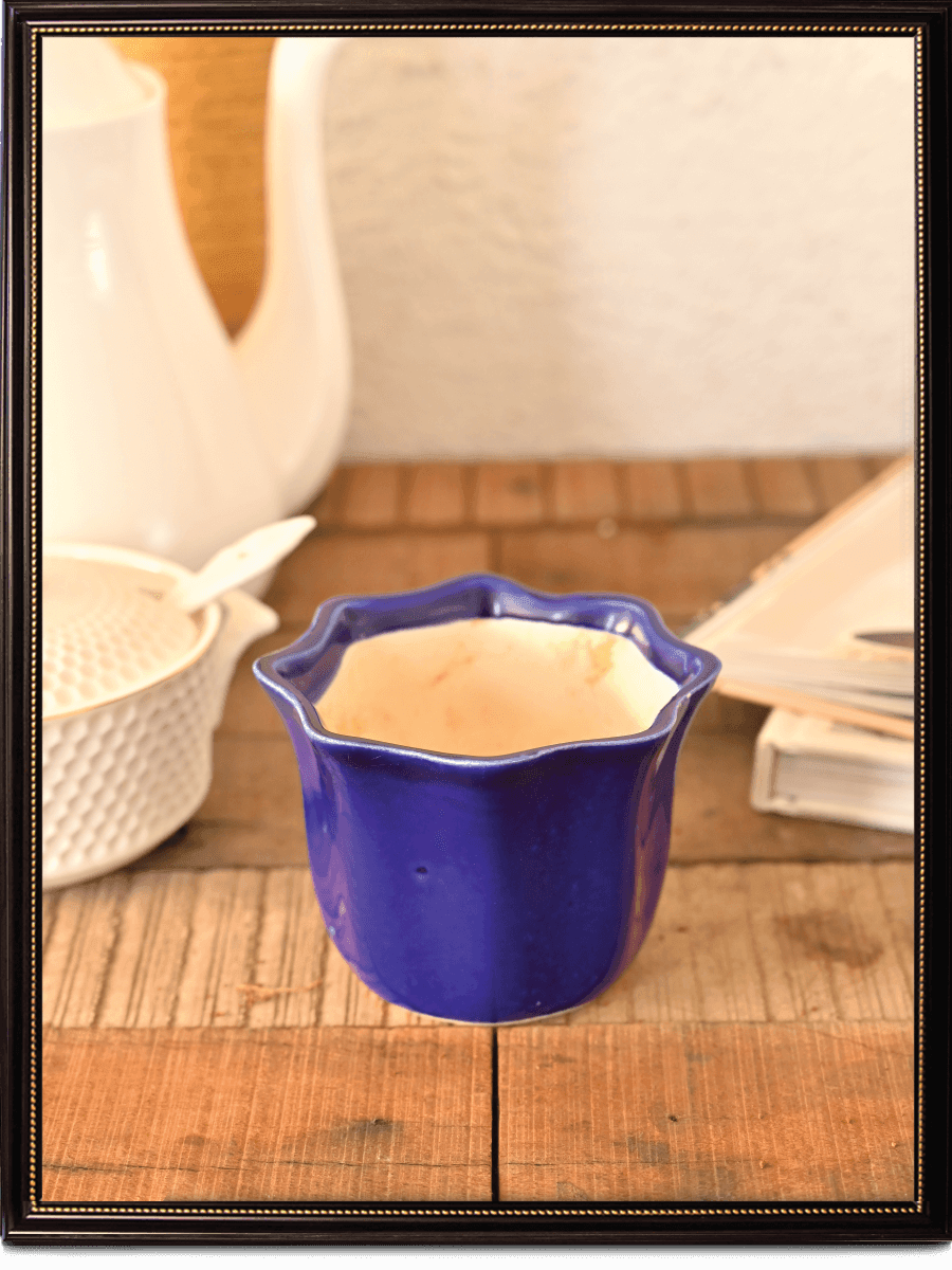 Star Dark Ceramic Pot | Ugaoo | Multiple Colors