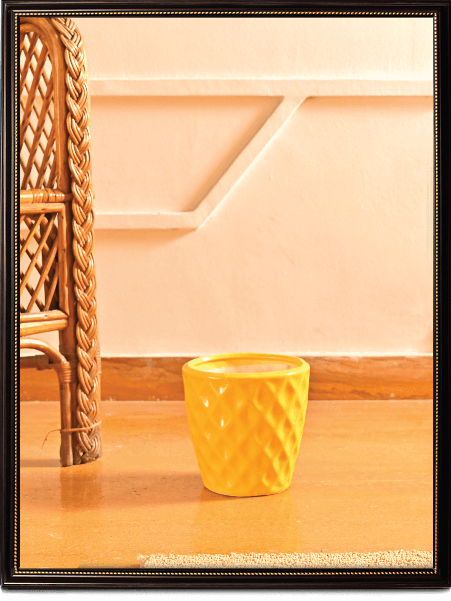 Argyle Ceramic Pot |  Multiple Colors