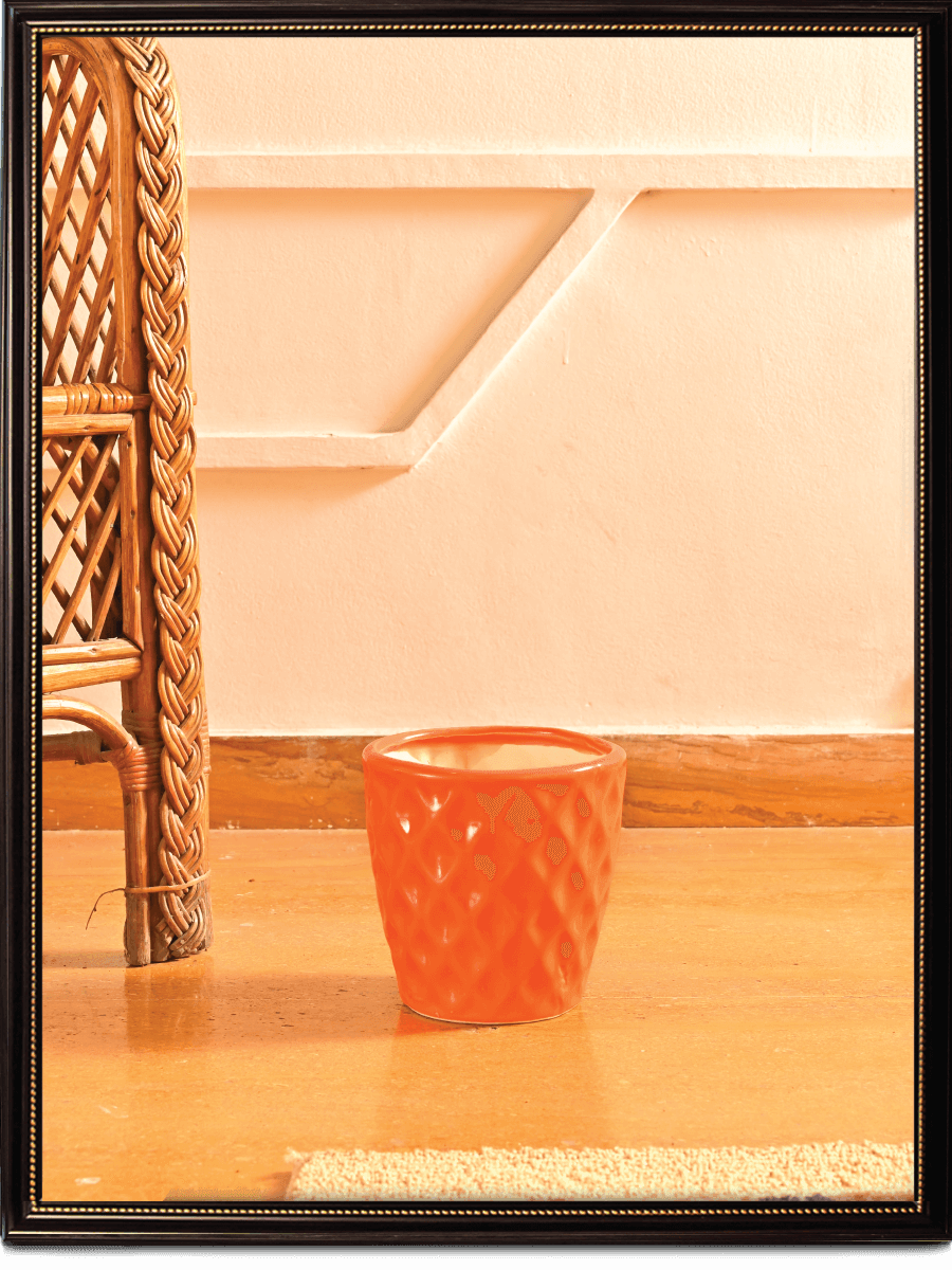 Argyle Ceramic Pot |  Multiple Colors