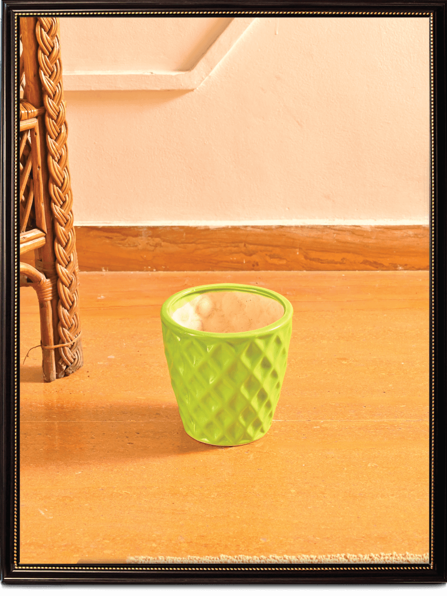 Argyle Ceramic Pot |  Multiple Colors