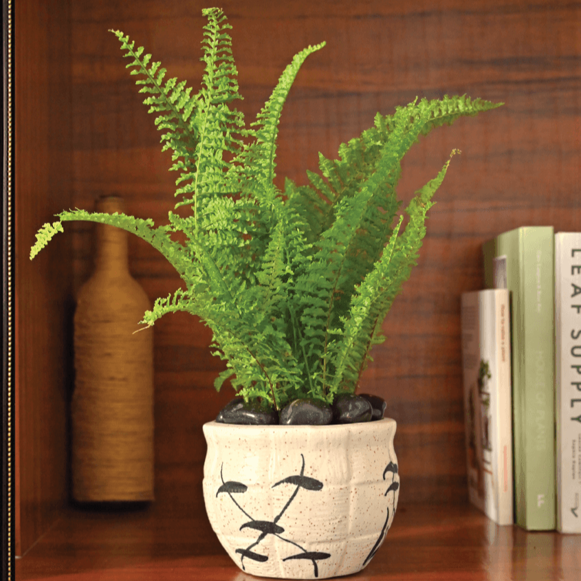 White Ceramic Matka with Leaf Design | Ugaoo