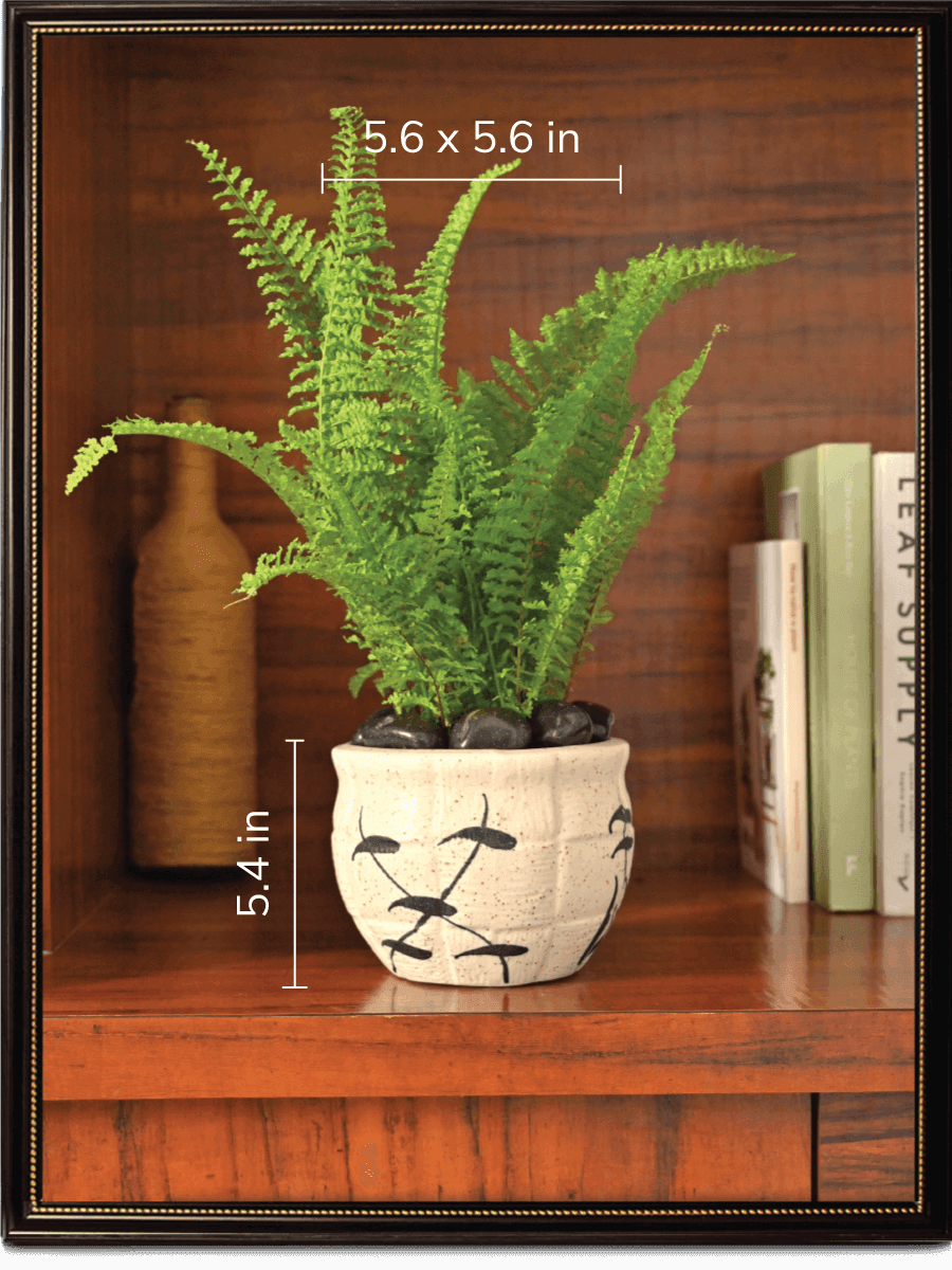 White Ceramic Matka with Leaf Design | Ugaoo
