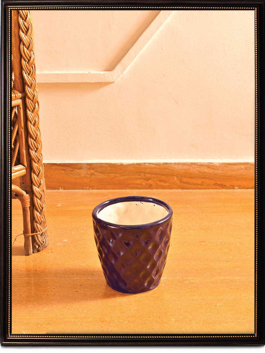 Argyle Ceramic Pot |  Multiple Colors