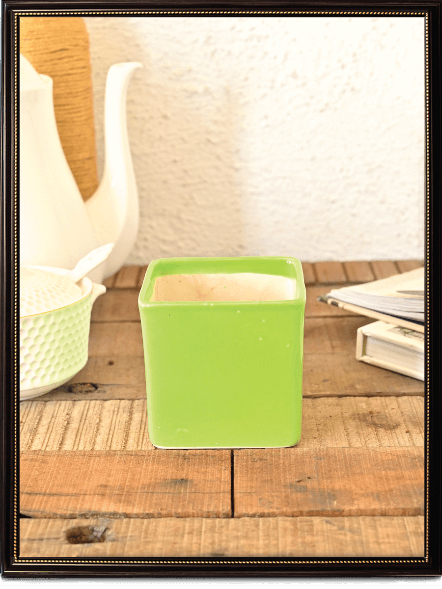 Square Ceramic Pot | Ugaoo | Multiple Colors