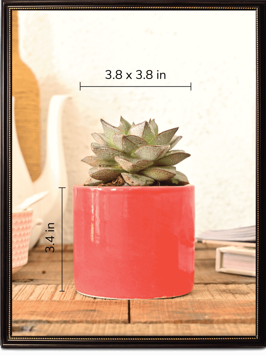 Pipe Ceramic Pot | Multiple Colors