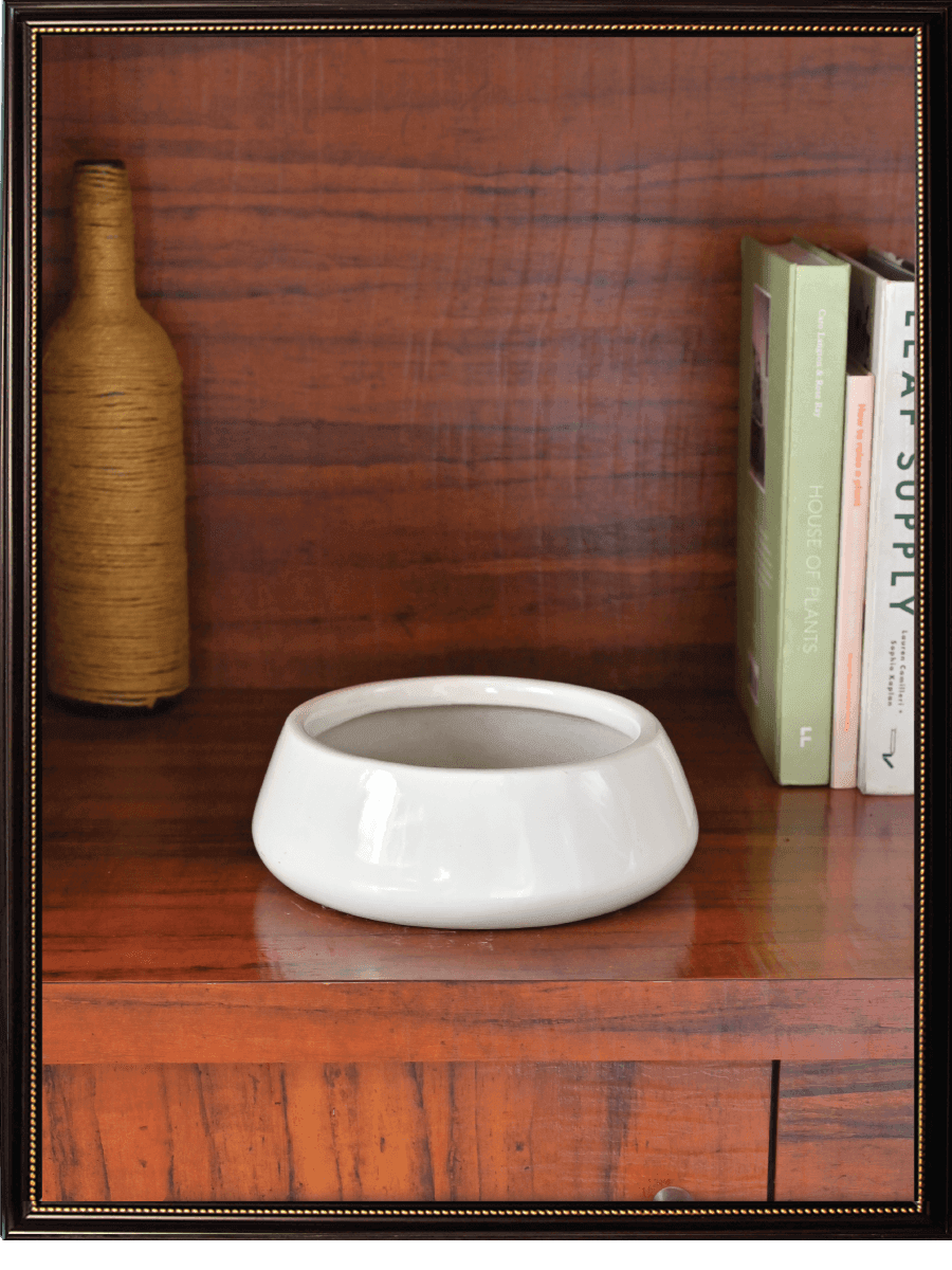 Tulip Fantasy Ceramic Pot | Ugaoo | Mutiple Colors