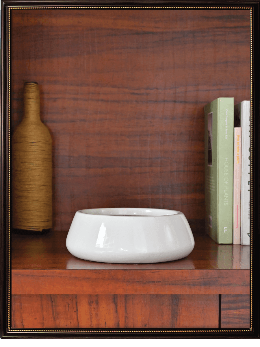Tulip Fantasy Ceramic Pot | Ugaoo | Mutiple Colors