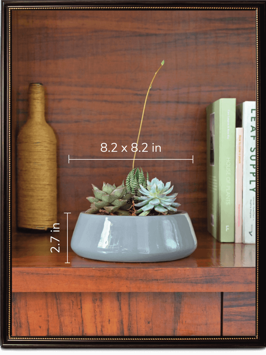 Tulip Fantasy Ceramic Pot | Ugaoo | Mutiple Colors