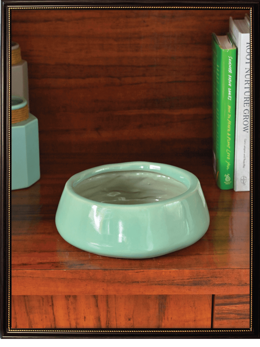 Tulip Fantasy Ceramic Pot | Ugaoo | Mutiple Colors