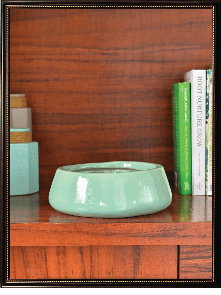 Tulip Fantasy Ceramic Pot | Ugaoo | Mutiple Colors