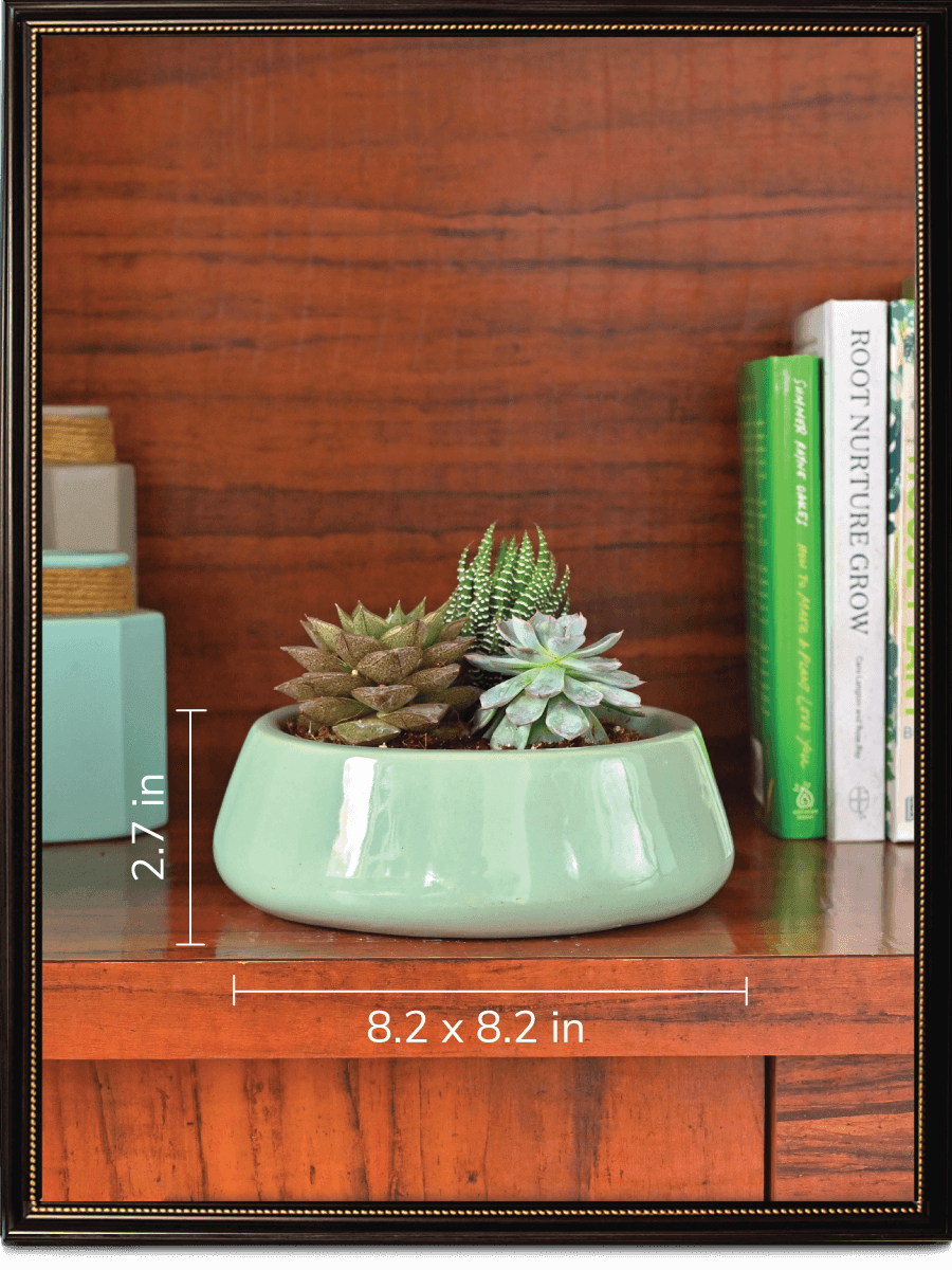Tulip Fantasy Ceramic Pot | Ugaoo | Mutiple Colors