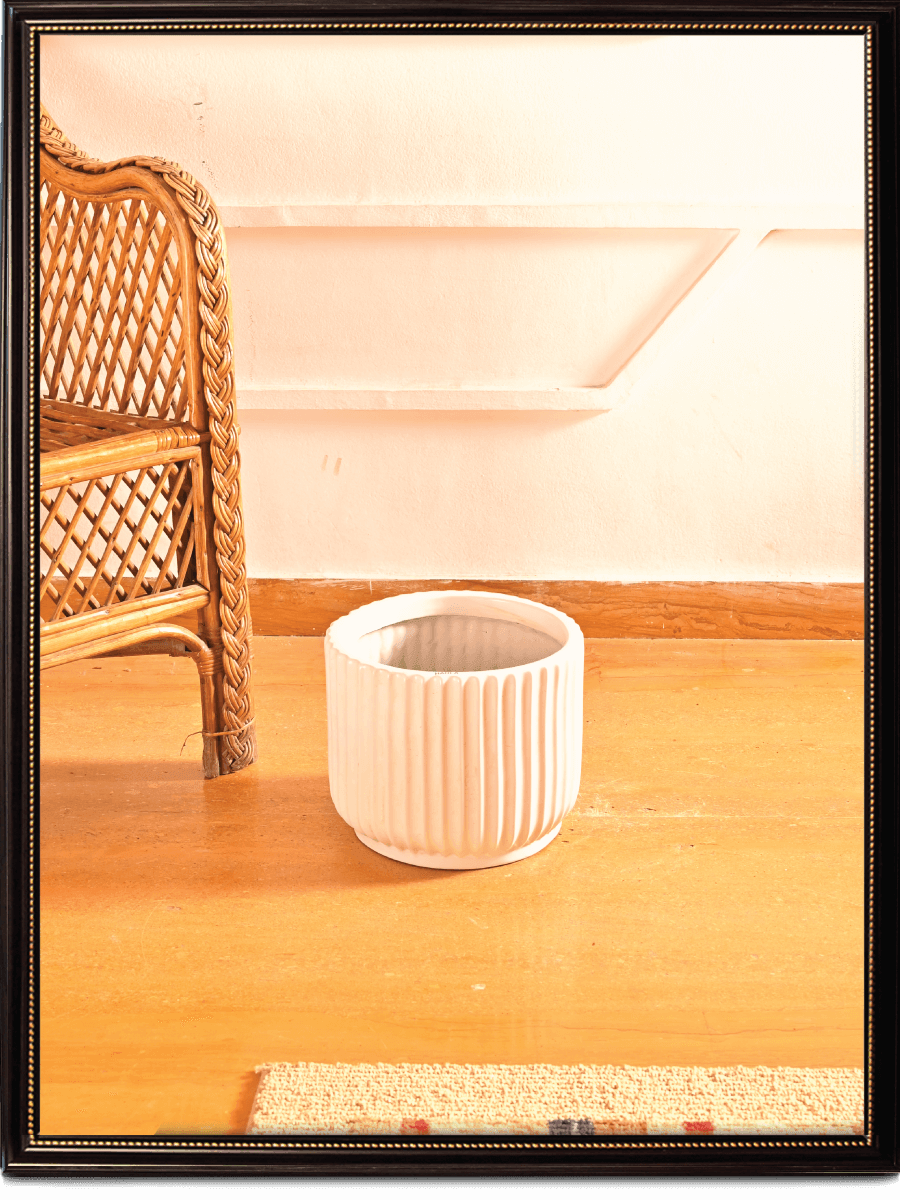 Phoenix Ceramic Pot | Multiple Colors