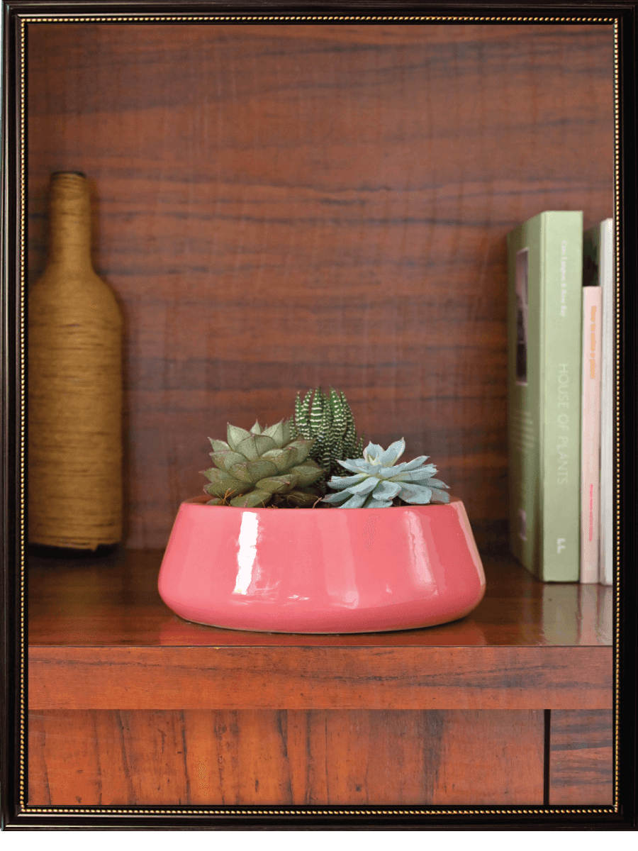 Tulip Fantasy Ceramic Pot | Ugaoo | Mutiple Colors