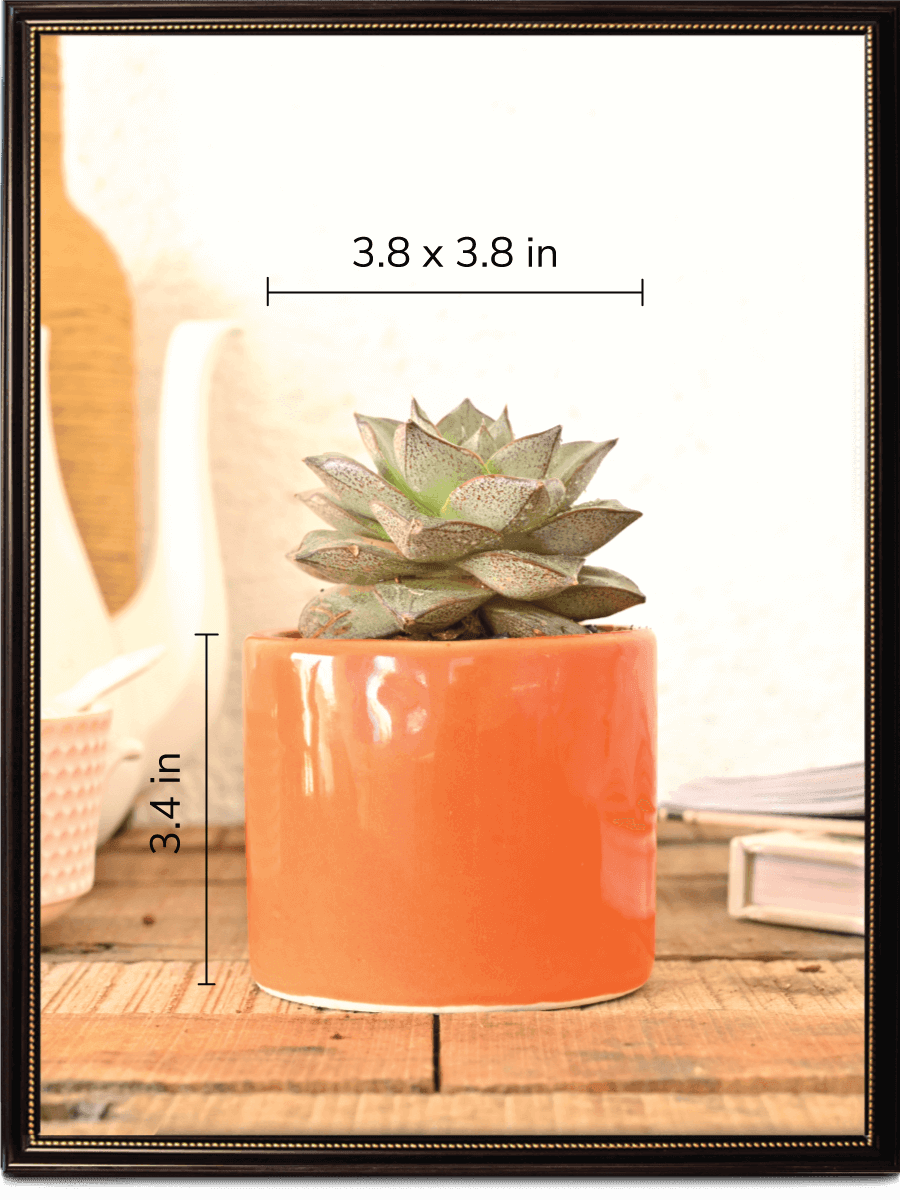 Pipe Ceramic Pot | Multiple Colors