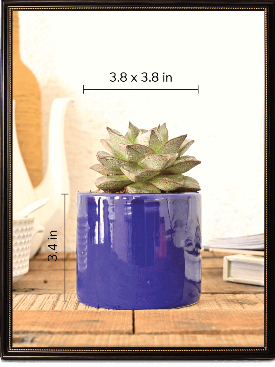 Pipe Ceramic Pot | Multiple Colors