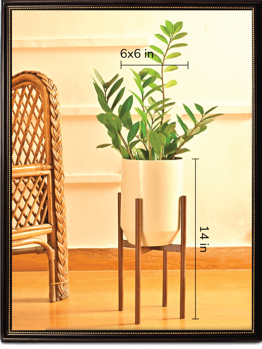 Dove Planter