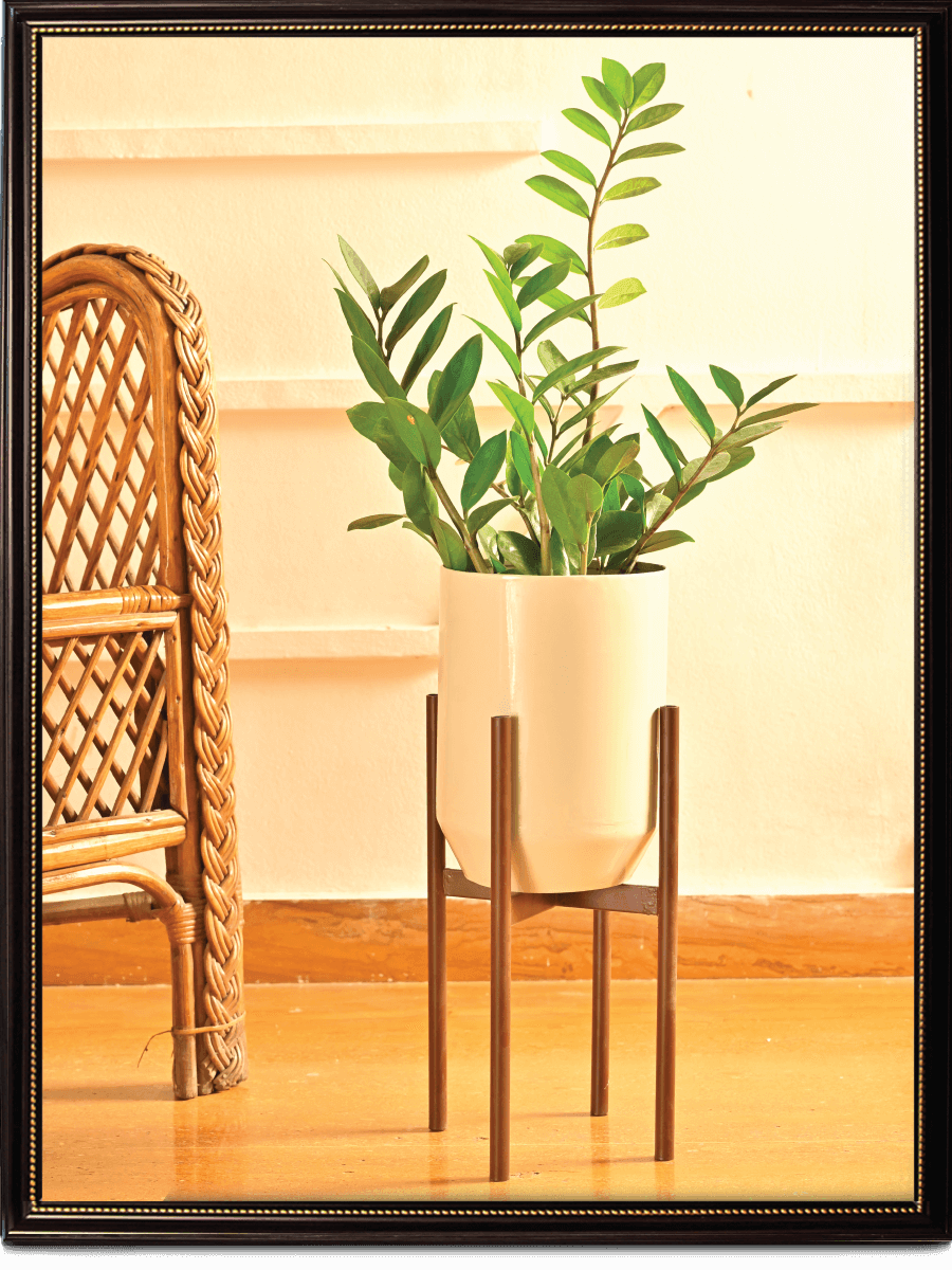 Dove Planter