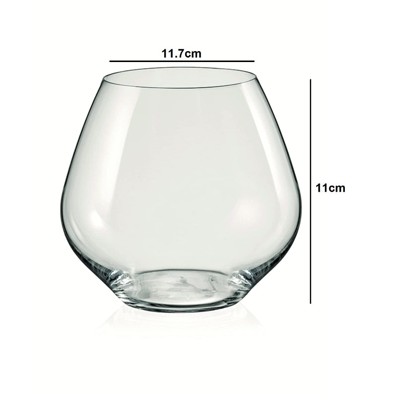 Amoroso Crystal Stemless Wine Glass | Set of 2 | Multiple Sizes