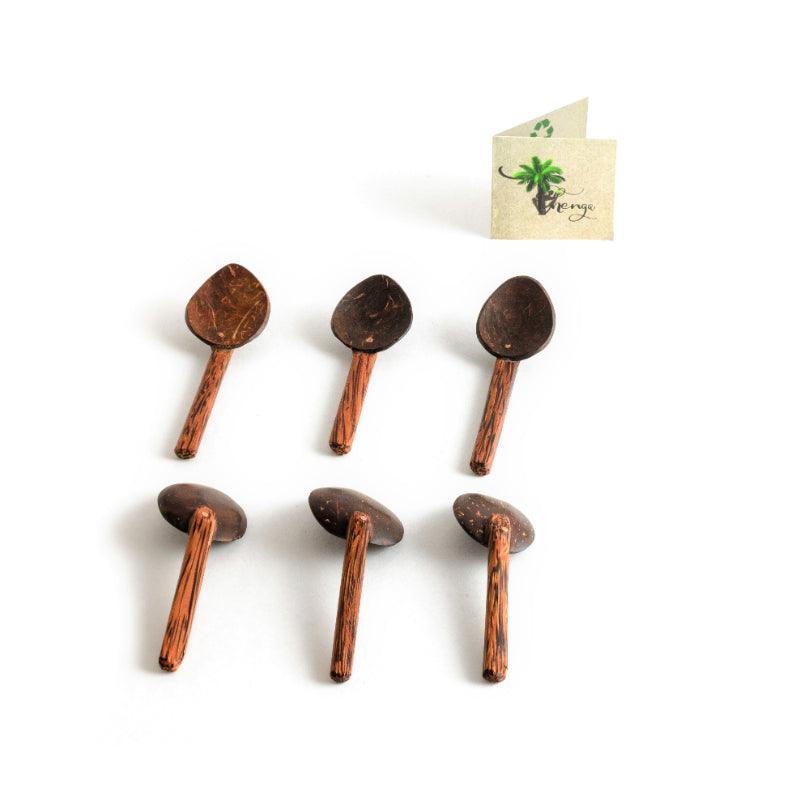 Coconut Shell Masala Spoon | Set Of 6