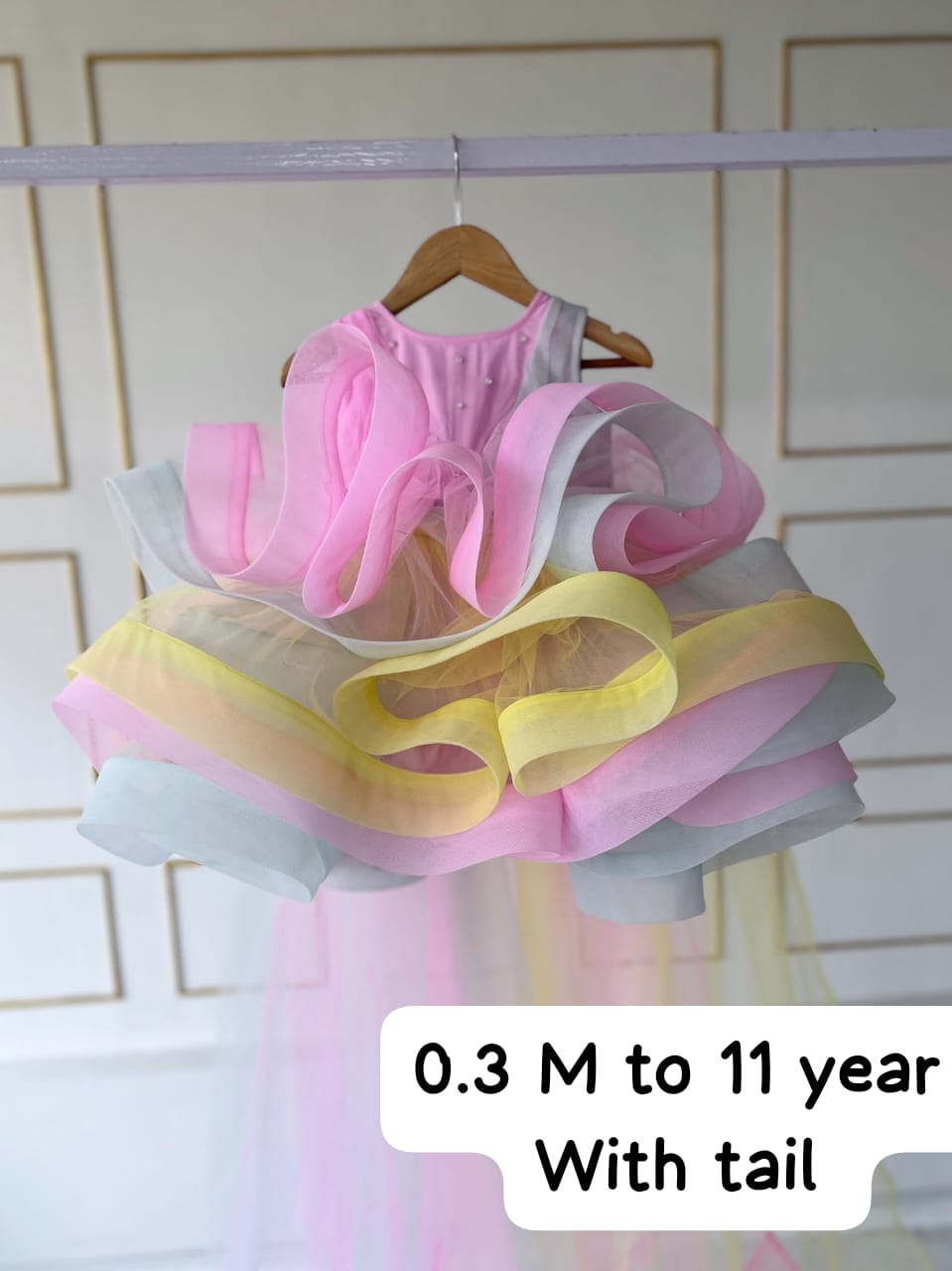 Baby Girl Net Full Flare Dress
