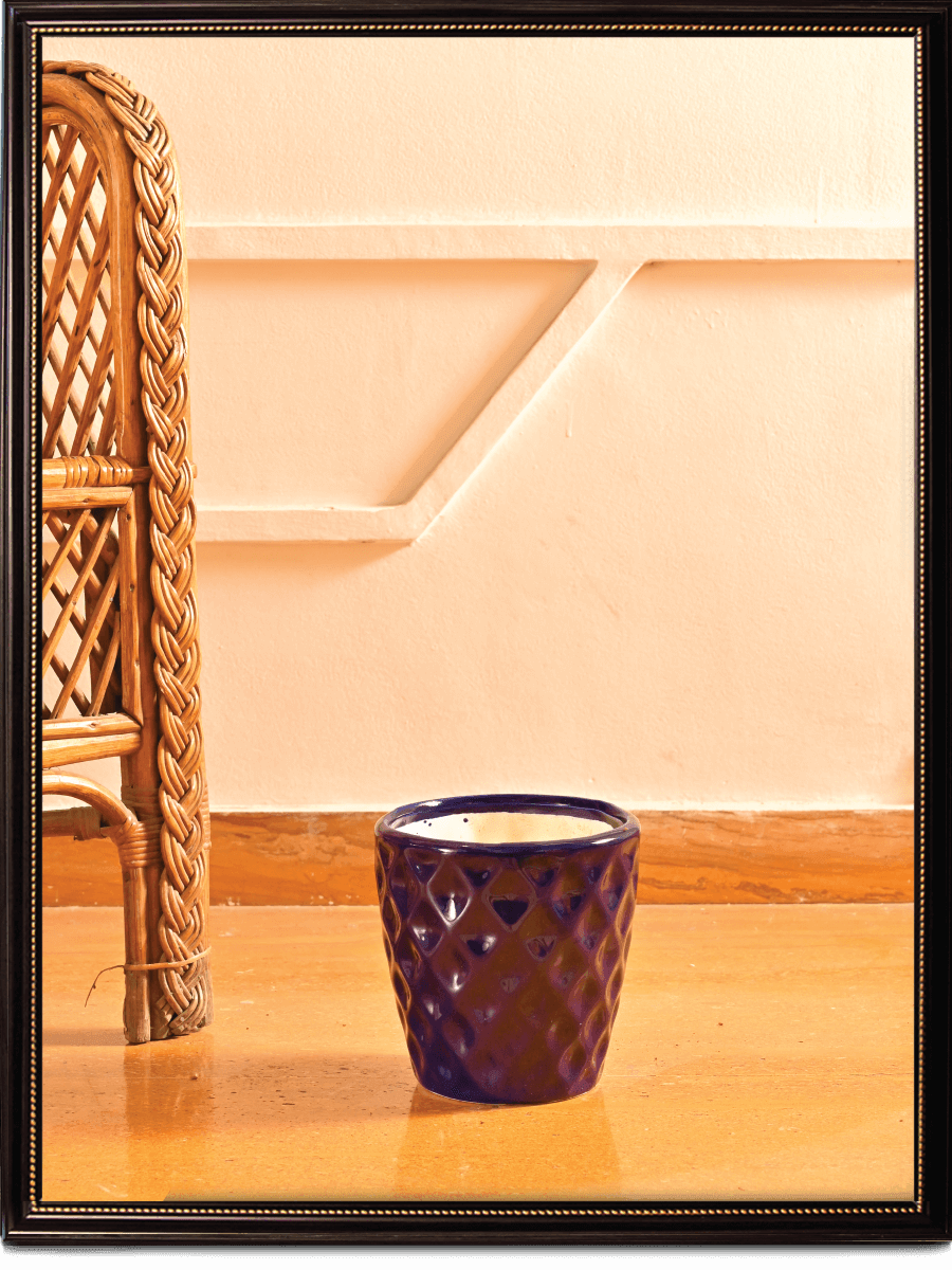 Argyle Ceramic Pot |  Multiple Colors