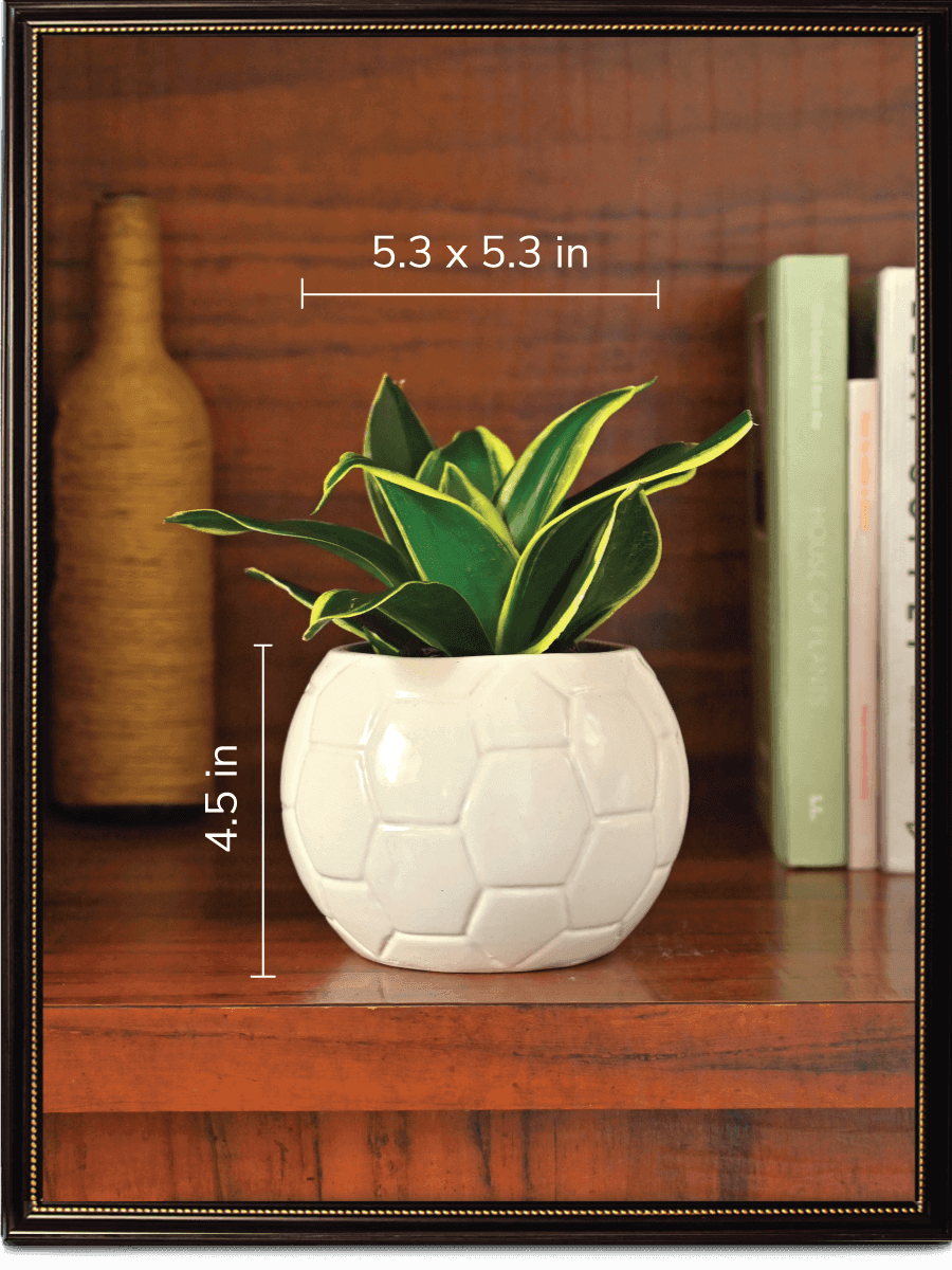 White Football Ceramic Pot