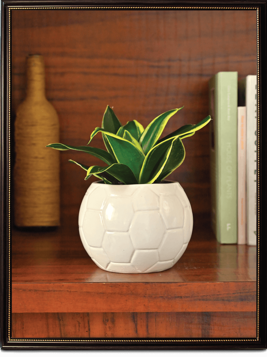 White Football Ceramic Pot