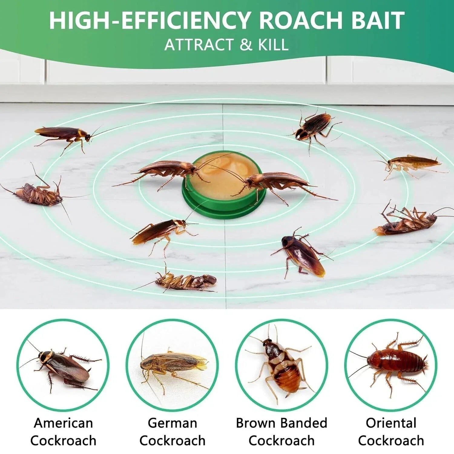 Roach Killer Cockroach Traps for Indoor & Outdoor Infestation Control pack of 12