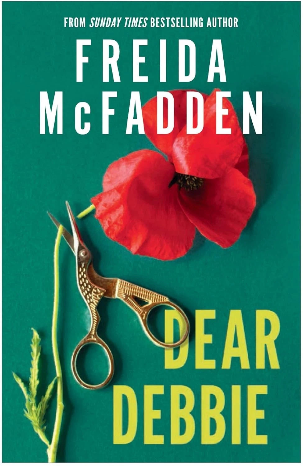 Dear Debbie by Freida McFadden Psychological Thriller Mystery Novel