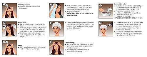 Vegetal Safe Hair Color Bio Natural Soft Black 100gm